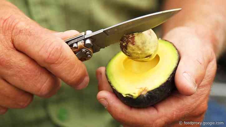 Why avocados are so expensive