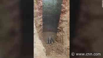Baby elephant rescued after falling into village well