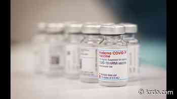 Booster shots rev up immune response to coronavirus variants, Moderna says - KRDO