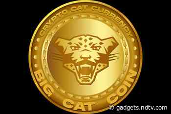 Tiger King Star Carole Baskin Launches $CAT, Her Own Cat-Themed Cryptocurrency