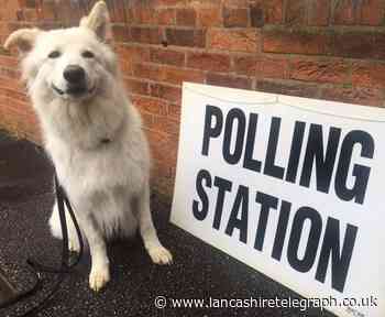 Dogs at polling stations in East Lancashire on local elections day 2021