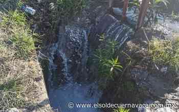 Urge volver sustentable al campo - El Sol de Cuernavaca