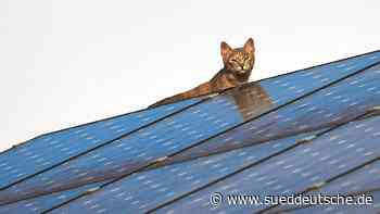 Wärme vom Dach - Süddeutsche Zeitung