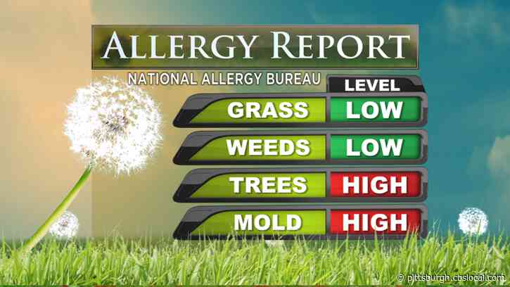 Allergy Season Striking With A Vengeance: How To Prevent Sneezing, Hacking, And Sniffling