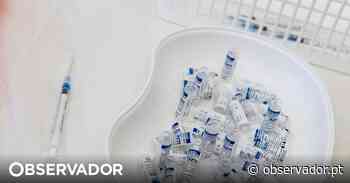Instituições brasileiras e russas trocam acusações sobre o problema das infeções. O que se passa com a vacina Sputnik V? - Observador