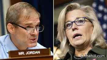 Jordan says 'votes are there' to oust Cheney from GOP leadership