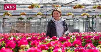 Nauheim Nauheim/Trebur: „Es ist schwierig, die Ware zu beschaffen“ - Echo Online