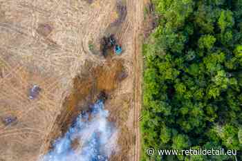 European food retailers threaten to boycott Brazilian products - Retail Detail Europe