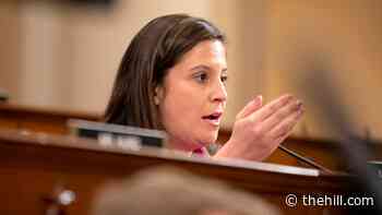 Twitter accidentally suspends account of Stefanik's communications director
