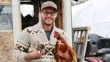 Homesteading lifestyle making a comeback in New Brunswick