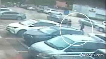 Man seen snatching woman's moneybag in SW Houston, and police say she may have been followed - KTRK-TV