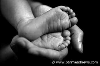 Malian woman gives birth to nine babies – having expected seven - Barrhead News