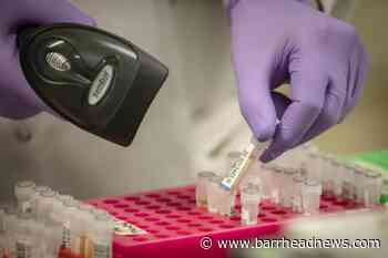 East Renfrewshire: No Covid deaths for five weeks - Barrhead News