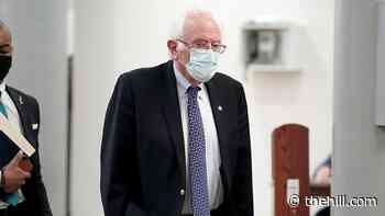 Sanders on Cheney drama: GOP is an 'anti-democratic cult'