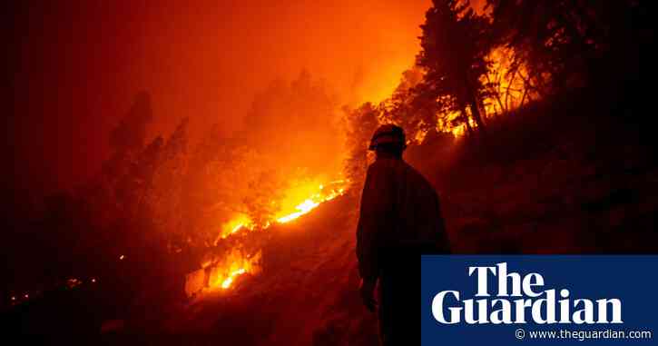 Giant sequoia found still smoldering after 2020 California wildfire