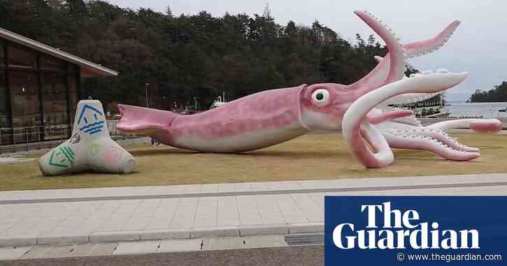 Japanese town spends Covid funds on 13-metre squid statue – video