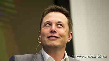 Dogecoin 'bubble' surges ahead of Elon Musk's debut on SNL