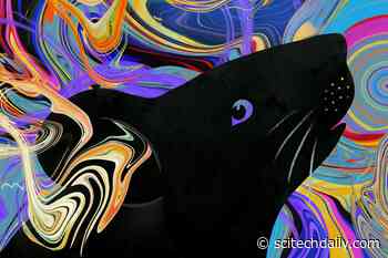 Mice With Hallucination-Like Behaviors Reveal Insights Into Psychotic Illnesses