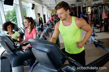 An Easy Way to Improve Exercise Performance: Dab on Deep Heat Cream