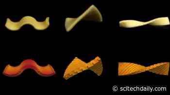 Flat Pasta Developed That Morphs Into Shape When Cooked