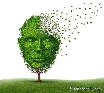 Dementia Linked to Poor Kidney Function in New Research