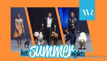 Dog models wanted for Rochester Fashion Week