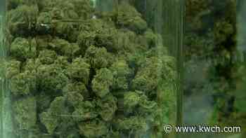 Kansas House approves legalizing medical marijuana - KWCH