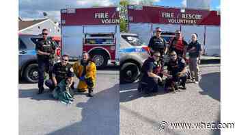 Brockport Fire District rescues dog from Erie Canal