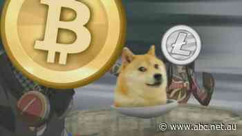 Dogecoin: how SNL is pumping up 'the greatest bubble of our generation' a little bit more