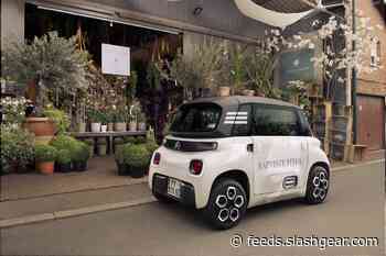 The Citroën Ami Cargo is an electric microvan for small business errands