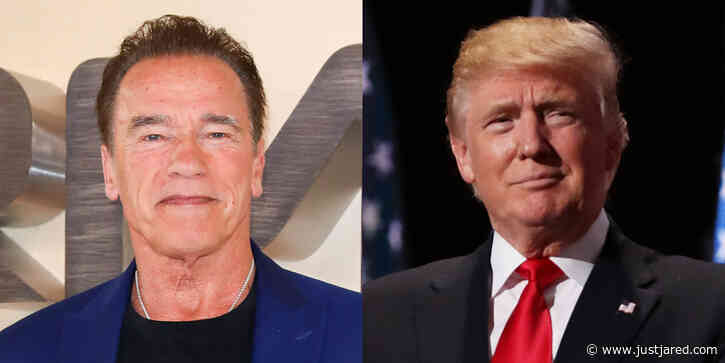 Arnold Schwarzenegger Reveals Why He Didn't Endorse Donald Trump for President