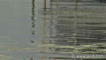 Southern Tier leaders come together in effort to clean up armful algae in Chautauqua Lake