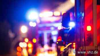 Tornesch: Sturmtief entwurzelt Birke: Feuerwehr-Einsatz im Kummerfelder Weg | shz.de - shz.de