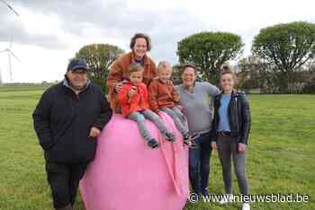 Loenhouts gras verpakt in roze balen als eerbetoon aan overleden collega's - Het Nieuwsblad