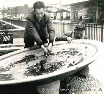 Do you remember the fountains on Broadway in Accrington?
