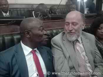 ZINARA audit report- what MPs said- Norman Allan Markham - The Zimbabwe Mail