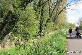 Gemeente koopt gronden in verkavelingsproject voor natuurbehoud