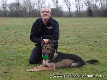 Finn's Law passed to increase prison sentences
