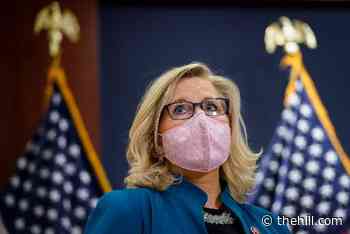 Cheney GOP Conference deputy has complained about 'coronation' of Stefanik: report