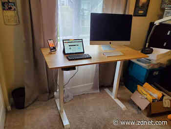 FlexiSpot Bamboo EN1 review: Affordable electric standing desk with stand interval reminders