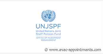 United Nations Joint Staff Pension Fund:  Investment Officer, P4