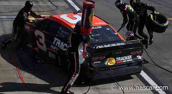 Austin Dillon, No. 3 pit crew hold virtual workout with soldiers at U.S. Army Central Kuwait - NASCAR