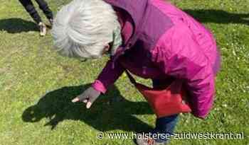 Arboretum Kalmthout daagt uit: #paardenbloemchallenge - De Halsterse & De Zuidwestkrant