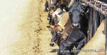 Methane emissions from U.S. dairies in decline