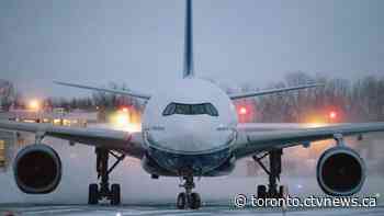 Two people who landed at Toronto airport slapped with hefty fines for presenting fake COVID-19 tests: Transport Canada - CTV Toronto