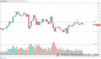 Chainlink adoption continues, while LINK price eyes pullback - Forex Crunch