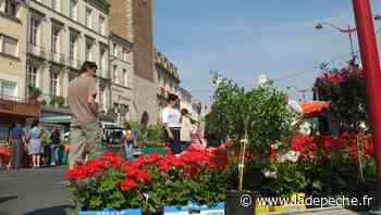 Villeneuve-sur-Lot. Le marché aux fleurs, c'est dimanche qu'il se déroule - LaDepeche.fr