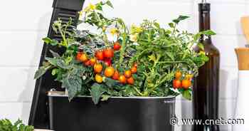 Have fresh herbs always with a $60 AeroGarden Sprout (save $40)     - CNET