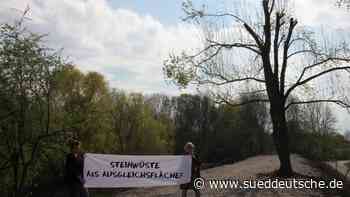 Kieswüste soll Blühwiese werden - Süddeutsche Zeitung