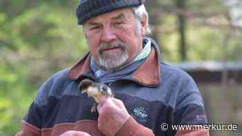 Vogelnotruf Olching: Kleiner Piepmatz mit großem Hunger - Merkur Online